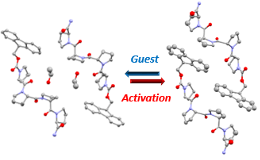 AnielloP_bio_SciencePic1